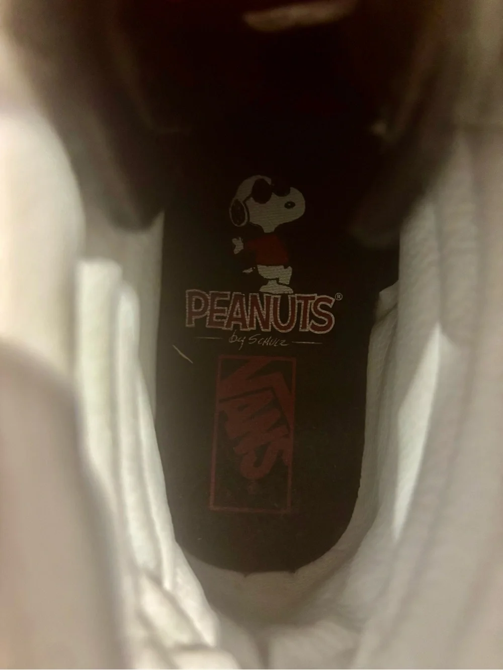 Vans SK8 Hi-Top PEANUTS Snoopy collab size 13